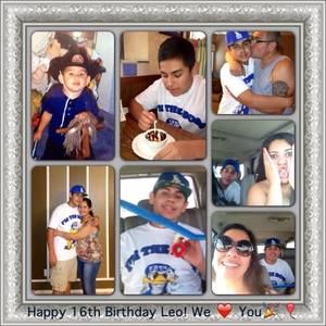 Meet your Posher, Hector